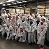 Экскурсия на кондитерское производство по выпуску тортов и пирожных 
